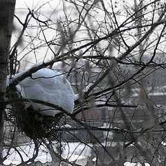 photo "Last greetings of leaving Winter."