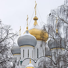 photo "Novodevichiy priory"