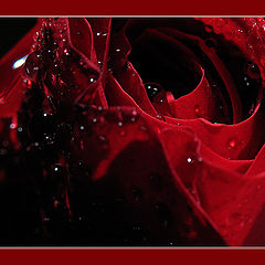 photo "tears ..."