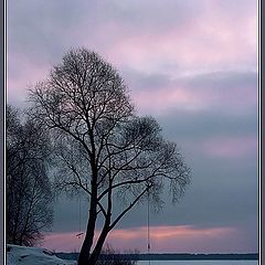 фото "Невеселая вечернаяя зимняя картинка"