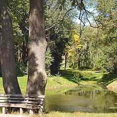 photo "Lake in Sofievka"