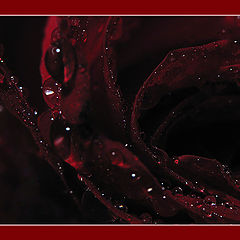 photo "tears ... 2"