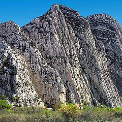 photo "Las Rocas"