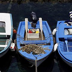 photo "Boats"