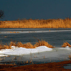 photo "Farewell to winter"