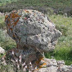 photo "The stone Head"