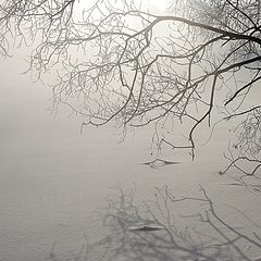 photo "Foggy drawing 5"