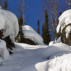 фото "Под голубыми небесами, великолепными коврами..."