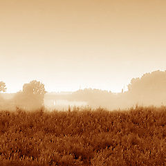 photo "Morning foggy... (a series "Mood")"