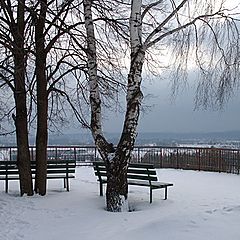 фото "Утреннее безмолвие"