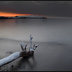 фото "Спокойствие марта"