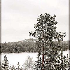 фото "По дороге в Мурманск"