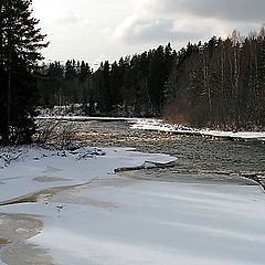 фото "Afternoon by the river"