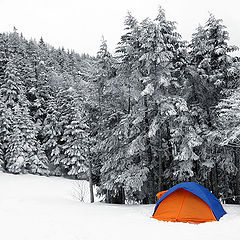 photo "Orange and Blue Tent"