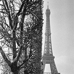 photo "Paris noir"