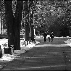 photo "afternoon walk"