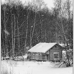 фото "Снегопад, 18 мар 05"