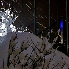 photo "Dedicated to a Moscow Snowfalls Worshiper Olga M."
