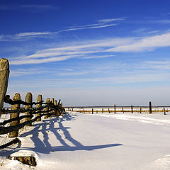 фото "The blue sky, white snow..."