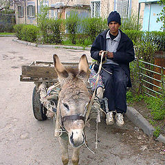 photo "Ecologically pure transport..."