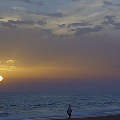 фото "Alone at evening"