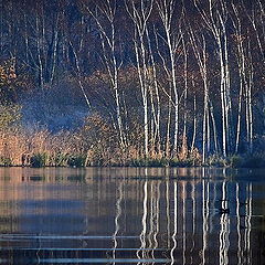 photo "De Maten 2 Genk Belgium"