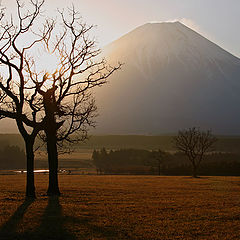 фото "Mountain with Tree and Sun"