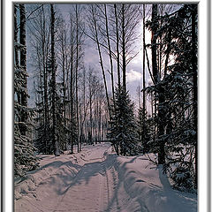 photo "Road to a fairy tale"