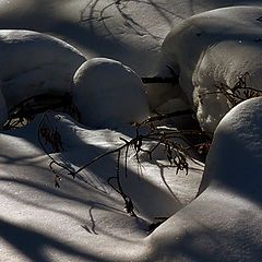 photo "Light and shadow 2"