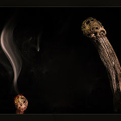 photo "from a life of matches: i burn, I all in taste - p"