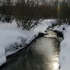 photo "Some sun in a cold water"