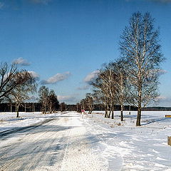 фото "радостная зимняя"