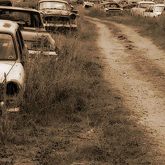 photo "Dead Cars Road"