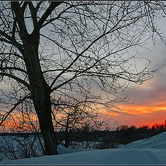 photo "March. The Evening."