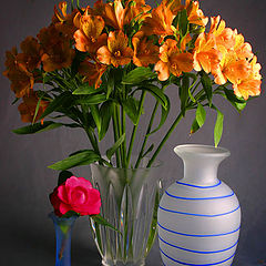 фото "Still life with flowers"