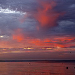 photo "Sea ghost"