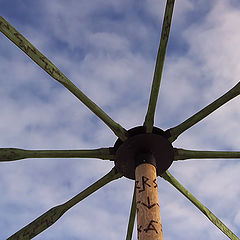 photo "Untitled photo"