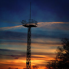 photo "The Tower of Pisa..."