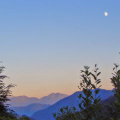 фото "Still evening moon"