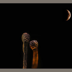 фото "из жизни спичек #3: прогулка под луной..."