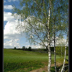 фото "Апрельские мотивы"