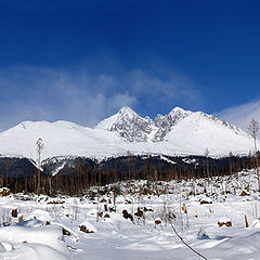 photo "The High Tatras"