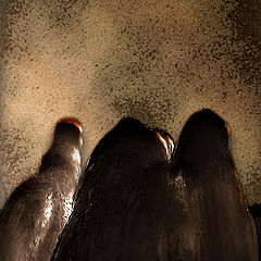 photo "Doomed ghosts of the winter"