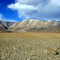 photo "Traditional Tibetan landscape"