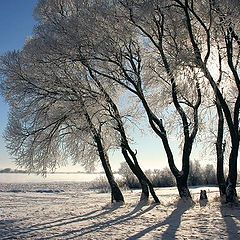 фото "Прибрежная..."