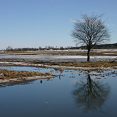 photo "Thawing weather"