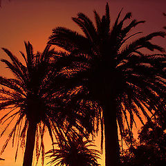 photo "End of a hot summer day"