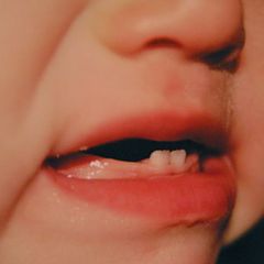 photo "The first teeth"