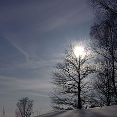 photo "Winter picture"