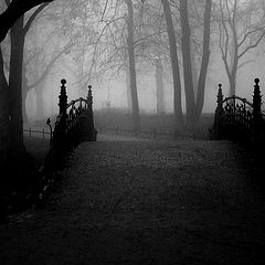 photo "[ fog.1 ]"